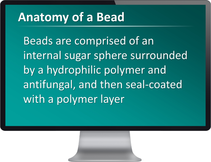 image with only text